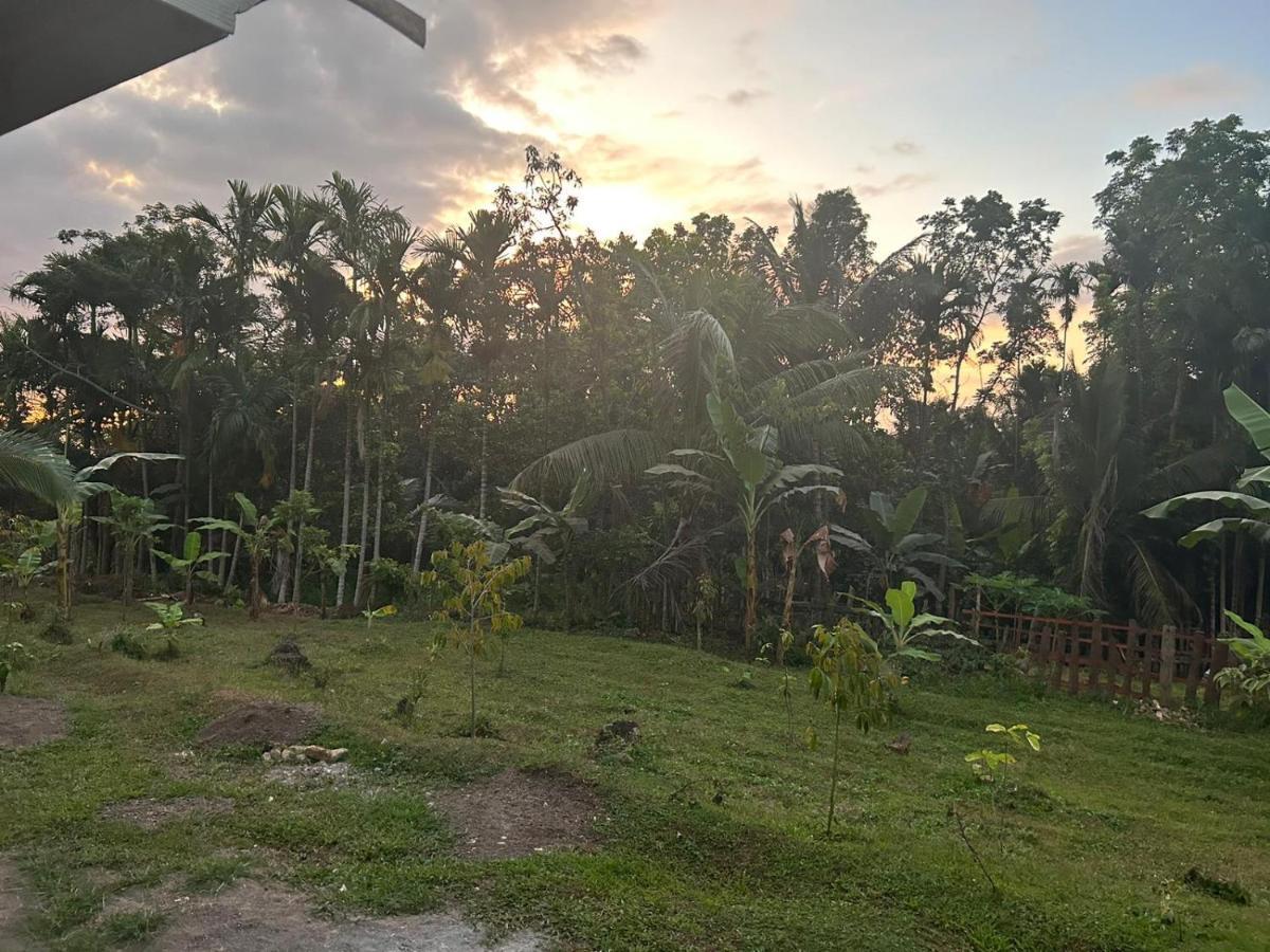 Senaru Garden Homestay Экстерьер фото